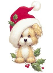 Christmas scenes noel christmas christmas candles. Breeder Australian Shepherd Dog Mini Shepherd For Sale