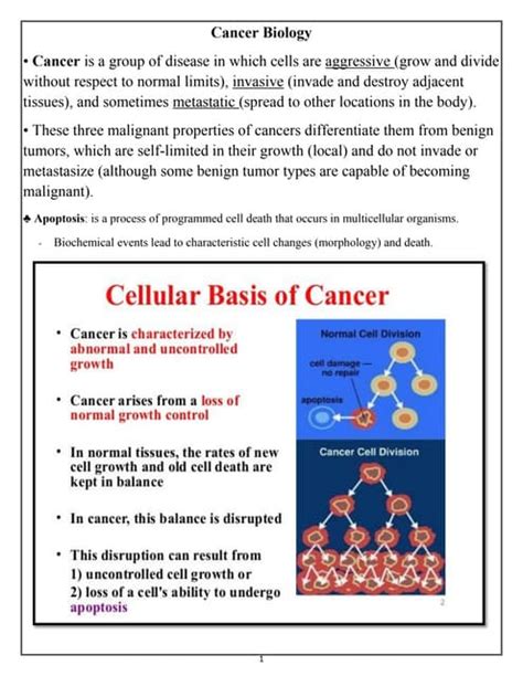 Cancer Biology Understanding The Molecular Basis Pdf