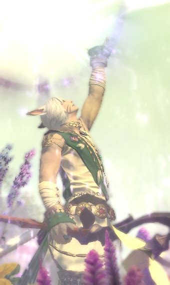 Sage Mage Eorzea Collection