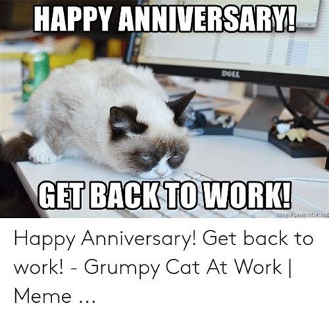 Work Anniversary Meme Cat 35 Hilarious Work Anniversary Memes To