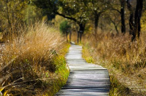 Path Photos Download The Best Free Path Stock Photos And Hd Images