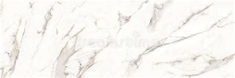 Carrara Statuarietto White Marble White Carrara Statuario Marble