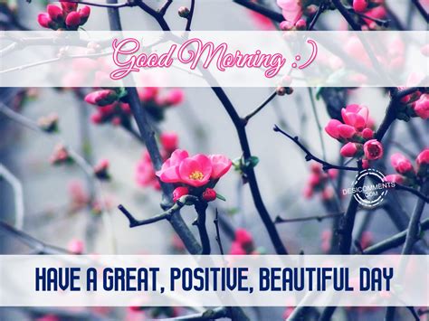 Good Morning Have A Great Positive Beautiful Day