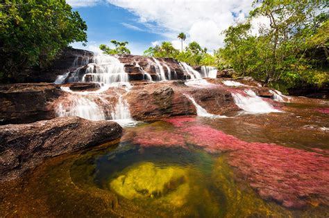 Caño Cristales River Trip 4 Days Colombia Flashpackerconnect