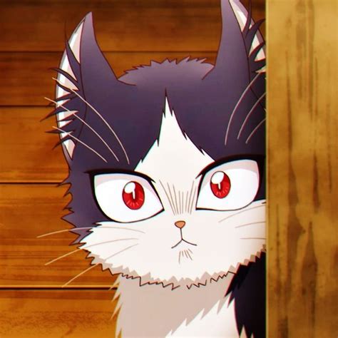 Cute Anime Cat Stuff Anime Cat Desktop Wallpaper Pixelstalknet