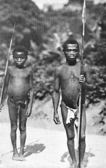 African Pygmies Wikipedia