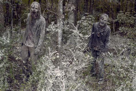 9x16 ~ The Storn ~ Walkers The Walking Dead Photo 42724607 Fanpop