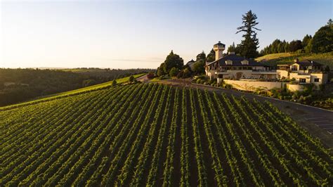 Willamette Valley Vineyards Is Expanding Into The Metro Area By Opening