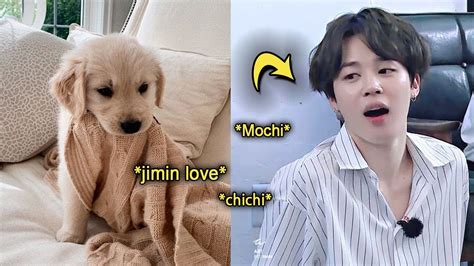 Jimin Joins Dog And Social Distance Youtube