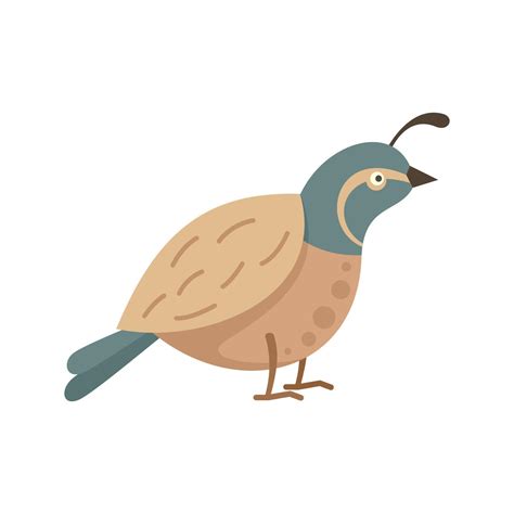 Quail farm icon flat isolated vector 14916759 Vector Art at Vecteezy