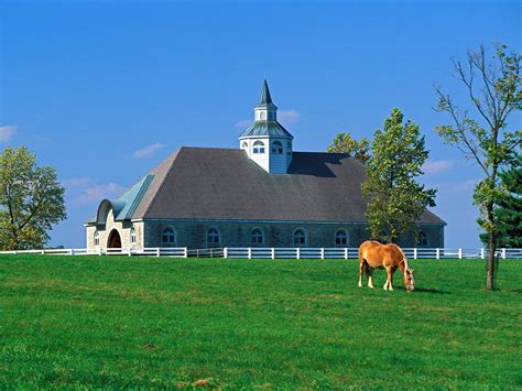 Donamire Horse Farm Lexington Kentucky Postcard Donamire Horse Farm
