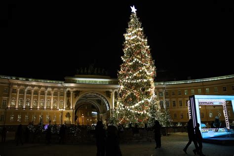 Стало известно будет ли на Дворцовой площади живая елка на Новый год — 2023 МК Санкт Петербург