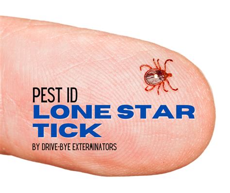 Lone Star Tick Drive Bye Pest Exterminators
