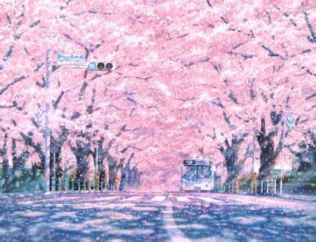 Check out amazing sakura_tree artwork on deviantart. Aesthetic Wallpaper Anime Cherry Blossom Background - Mural Wall