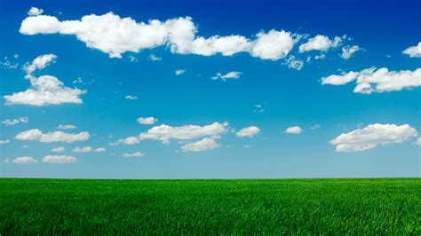 Free Download Clear Blue Sky Green Grass Field Hd Wallpaper 1920x1200