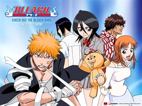 Bleach Group Bleach Anime Wallpaper 14752832 Fanpop