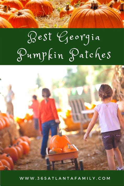 Pumpkin Patch Georgia 15 Best Patches For A Smashing Good Time 2022