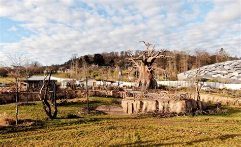 «wer tiere kennt, wird tiere schützen.» der #zoozuerich wirkt als botschafter zwischen mensch, tier und natur. Opening this April: the Lewa Savanna at Zoo Zürich