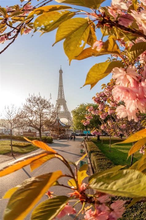 Eiffel Tower During Beautiful Spring Time In Paris France Stock Photo