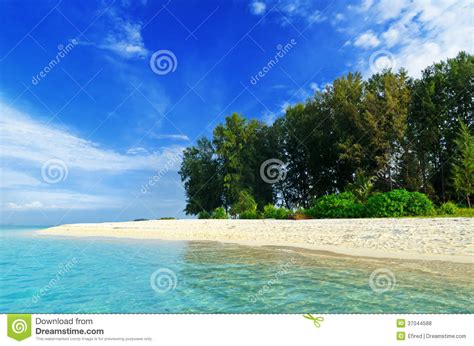 Tropical Beach Blue Sky And Clear Water Stock Photo Image Of Island