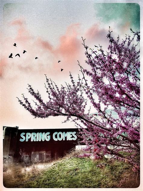 Spring Comes Photograph By Rebecca Leigh Sheridan