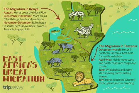 How To Experience The Great Migration In Kenya And Tanzania