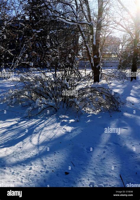 Sunny Winter Morning Stock Photo Alamy