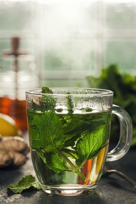 Easy Fresh Mint Tea Hot Or Iced The Peasants Daughter Recipe