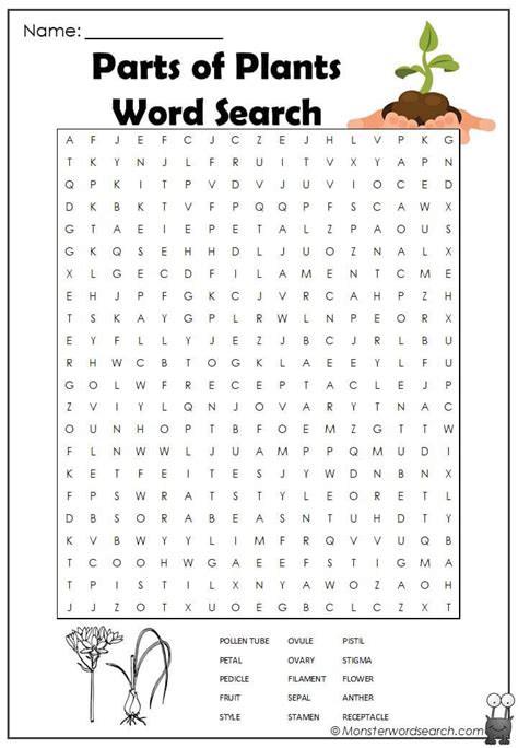 parts  plants word search word puzzles  kids spring words