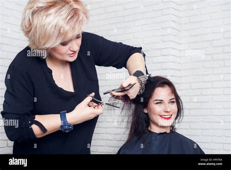 Hairdresser Beauty Salon Portrait Of Professional Hairdresser Stock