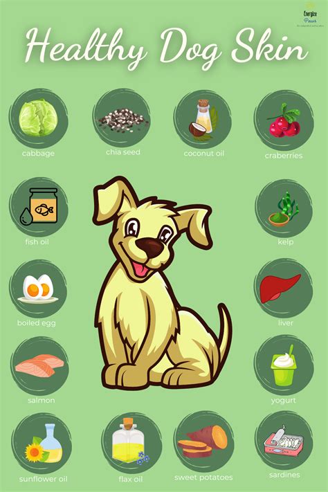 Best Foods For Dogs That You Can Find Dog Skin Allergies Dog