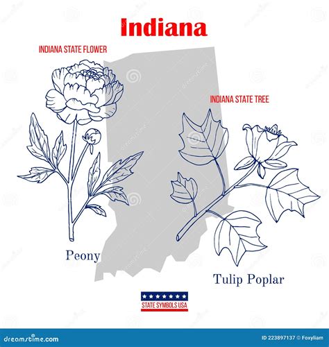Indiana Set Of Usa Official State Symbols Stock Vector Illustration