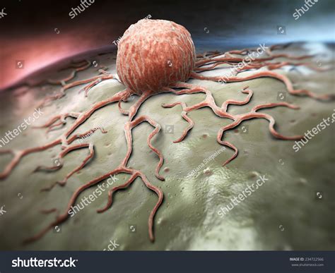 Close Up View Of A Cancer Cell Stock Photo 234722566 Shutterstock