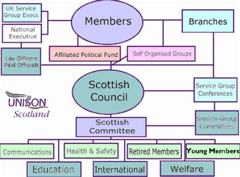 In the majority of modern democracies power is divided among three branches of government: About UNISON Scotland