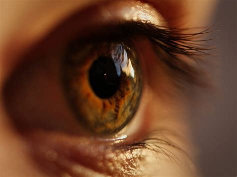 Wer Hat Die Åland Island Augenkrankheit Wirbelwirrwarr