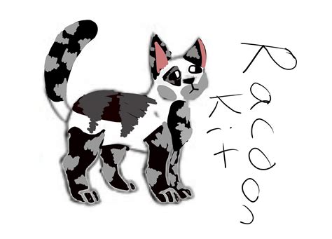 Racoon Kit Wiki •warrior Cats Art• Amino