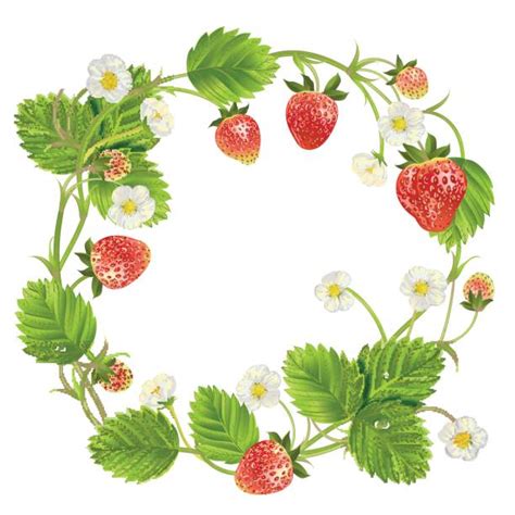 Royalty Free Frame Strawberries Clip Art Vector Images And Illustrations