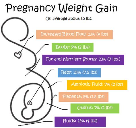 pregnancy weight gain what s normal