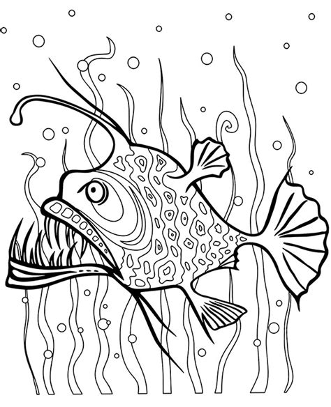 Angler Fish Coloring Page To Print Gmax