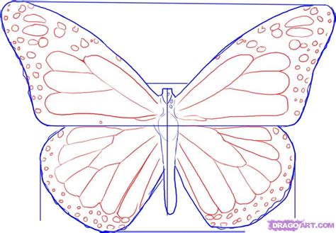 Monarch Butterfly Template