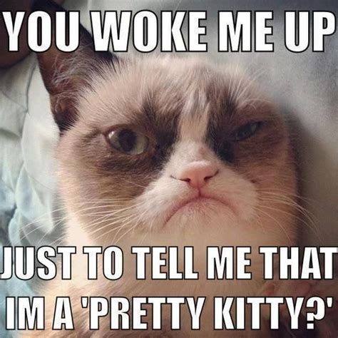 Grumpalicious Grumpy Cat Humor Cat Jokes Funny Grumpy Cat Memes
