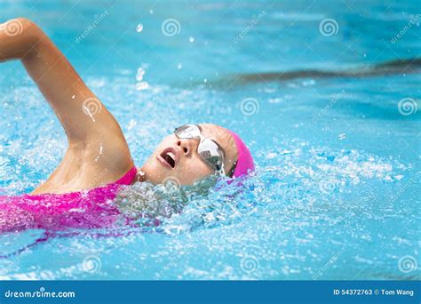 Las Mujeres Están Nadando En La Piscina Imagen De Archivo Imagen De