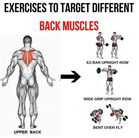 Upper Back Exercises To Target Different Back Muscles 3 Back