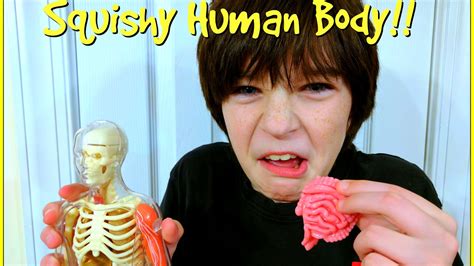 Squishy Human Body Homeschool Science Fun - YouTube