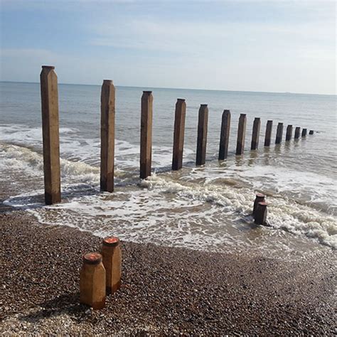 Timber Piles Aarsleff