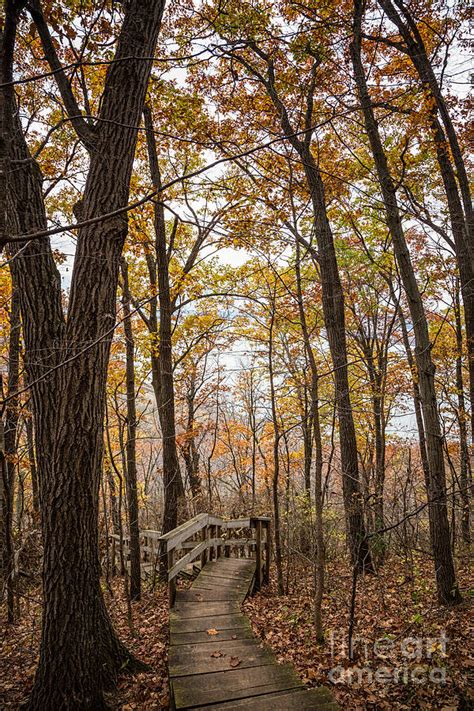 Autumn Steps John Latsch State Park Photograph By Kari Yearous Fine