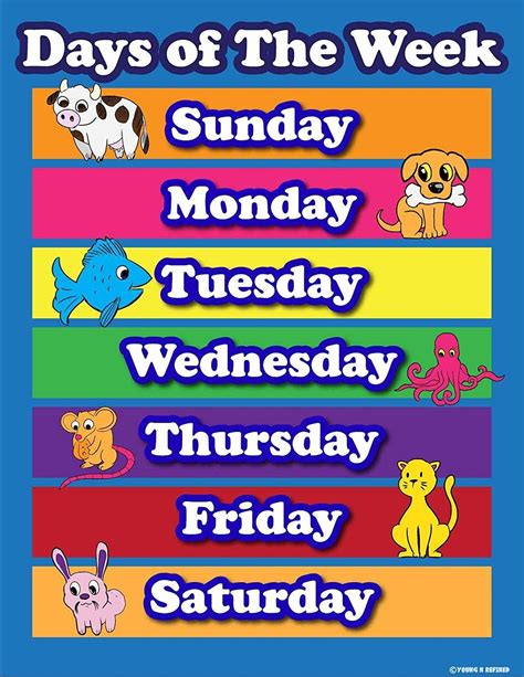 Days Of The Week Poster For Classroom