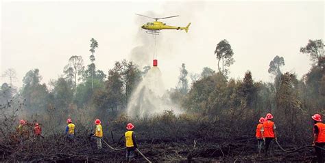 Ghelegar Net Makalah Bencana Alam Kebakaran Hutan