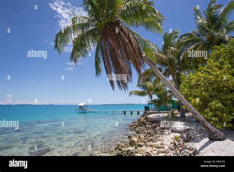 Manihiki Cook Islands Hi Res Stock Photography And Images Alamy