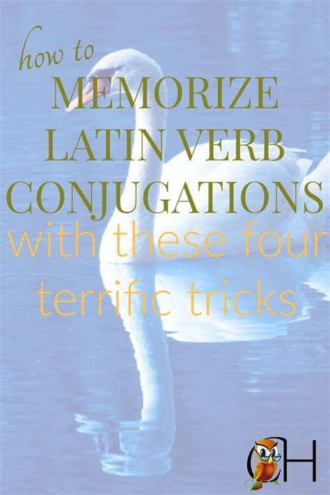How To Easily Memorize Latin Conjugations Teaching Latin How To